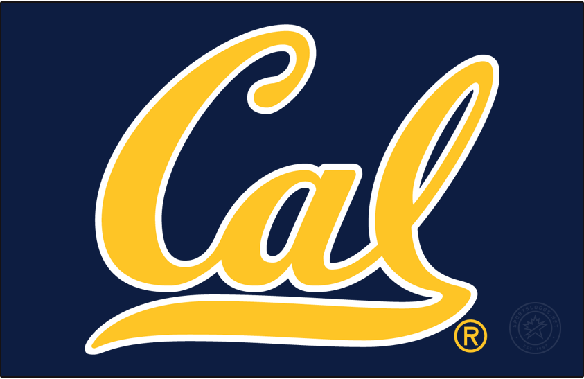 California Golden Bears 2013-2017 Primary Dark Logo v2 diy iron on heat transfer